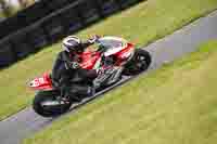 anglesey-no-limits-trackday;anglesey-photographs;anglesey-trackday-photographs;enduro-digital-images;event-digital-images;eventdigitalimages;no-limits-trackdays;peter-wileman-photography;racing-digital-images;trac-mon;trackday-digital-images;trackday-photos;ty-croes